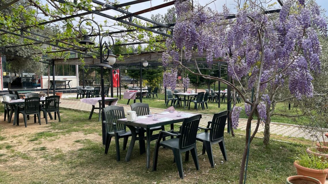 Zeytin Dalı Kahvaltı Evi / Buca / İzmir