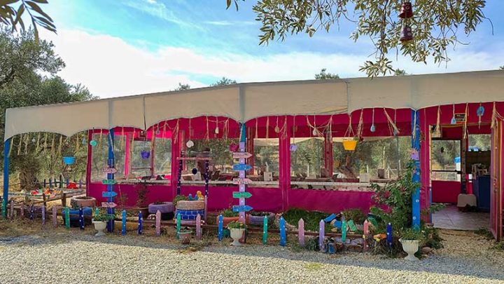 Güneşli Günler Çiftliği/ Bayındır / İzmir